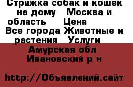 Стрижка собак и кошек на дому.  Москва и область.  › Цена ­ 1 200 - Все города Животные и растения » Услуги   . Амурская обл.,Ивановский р-н
